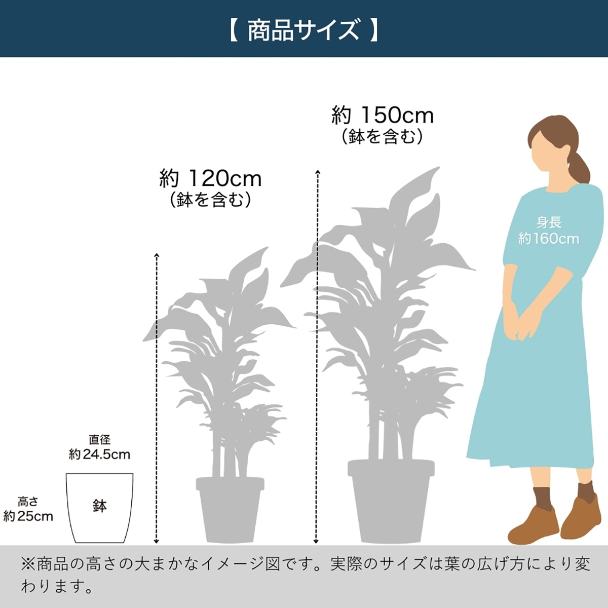 光触媒インテリアグリーン ユーカリ130cm鉢付き
