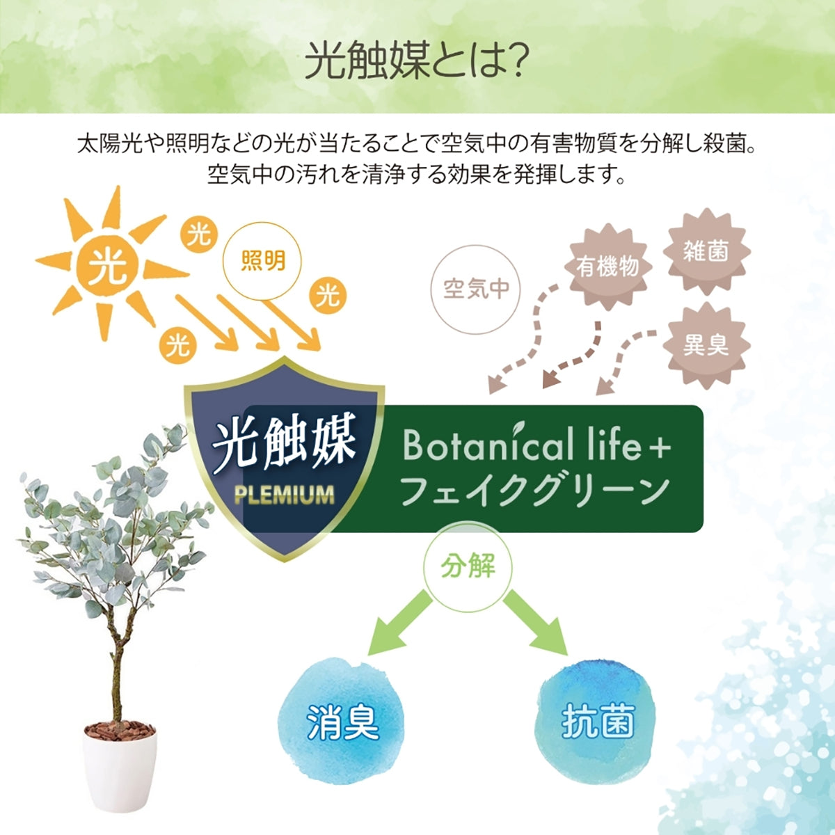 光触媒インテリアグリーン ユーカリ130cm鉢付き