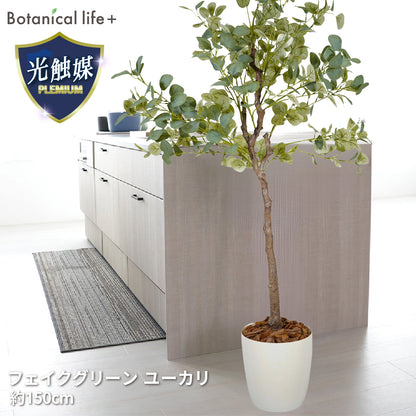 光触媒インテリアグリーン ユーカリ150cm鉢付き