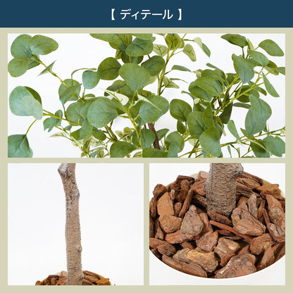 光触媒インテリアグリーン ユーカリ150cm鉢付き