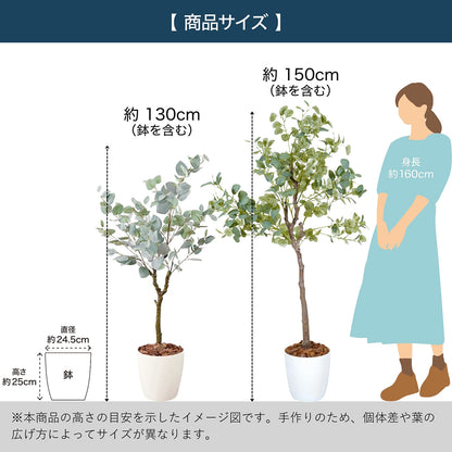 光触媒インテリアグリーン ユーカリ150cm鉢付き