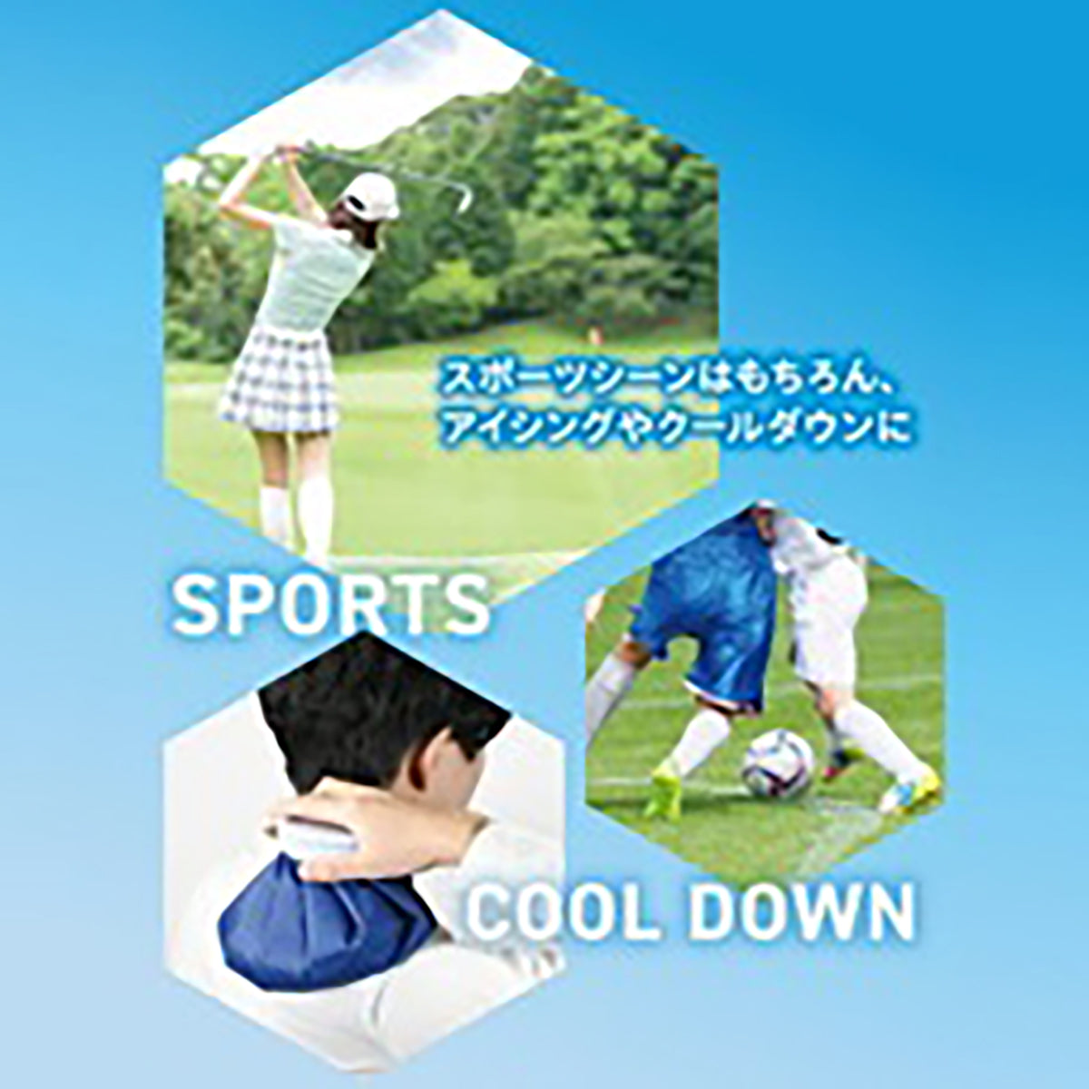 クールストレージ 保冷氷のうホルダー