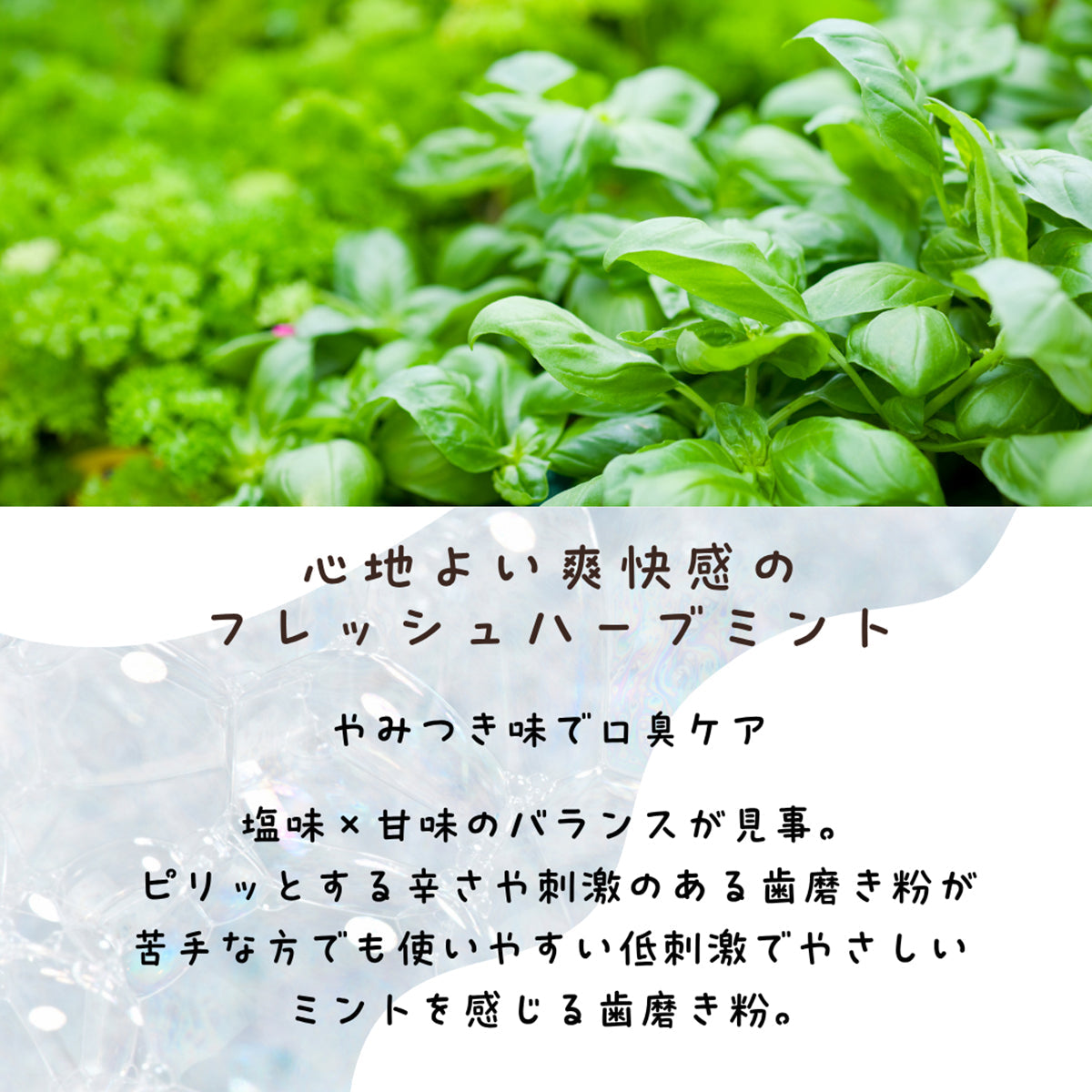 B BREATH トゥースパウダー 15g 歯磨き粉