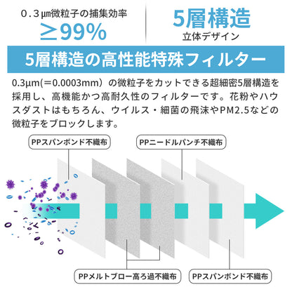 N99 保護マスク ふつうサイズ ホワイト 10枚入り