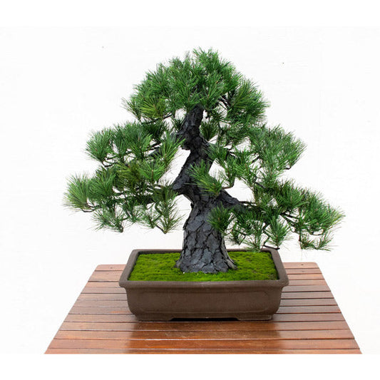 人工樹木/人工観葉植物　松盆栽 小　GO-518