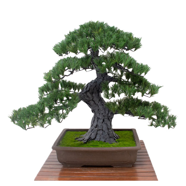 人工樹木/人工観葉植物　松盆栽 大　GO-519