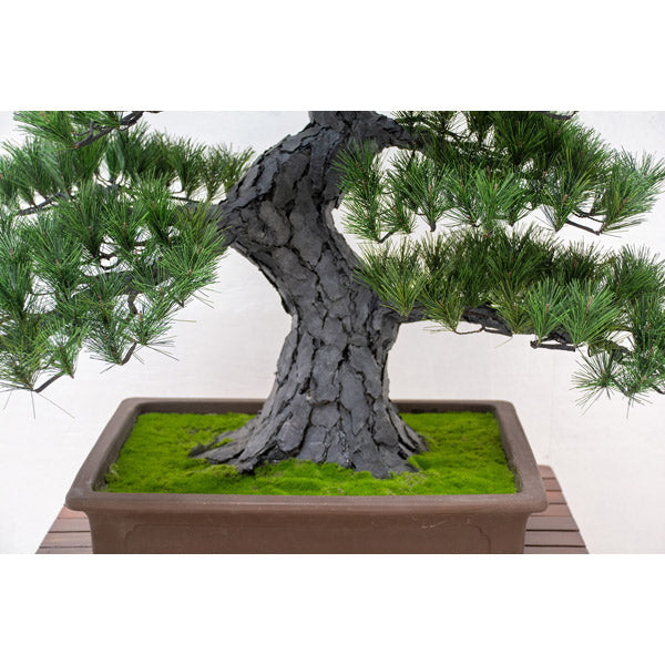 人工樹木/人工観葉植物　松盆栽 大　GO-519