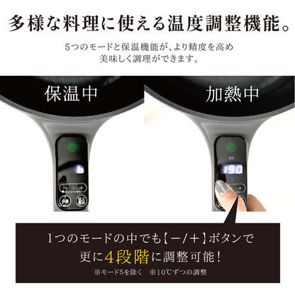 多機能片手電気鍋　４L　蒸し器付き　ダークグレー