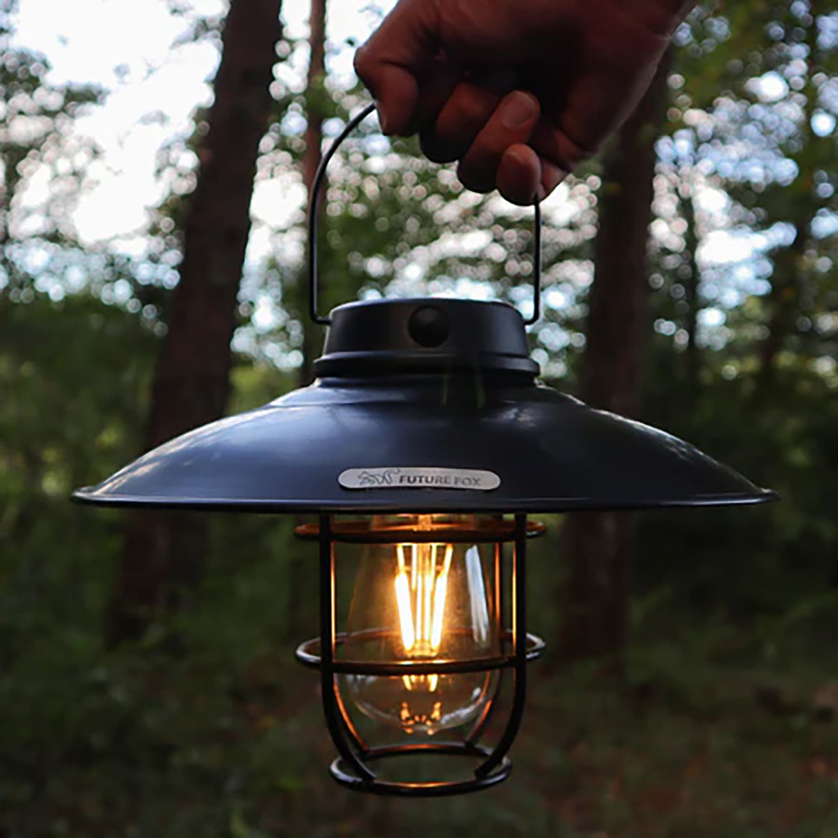 FUTURE FOX 山小屋ランタン LEDランタン エジソン電球