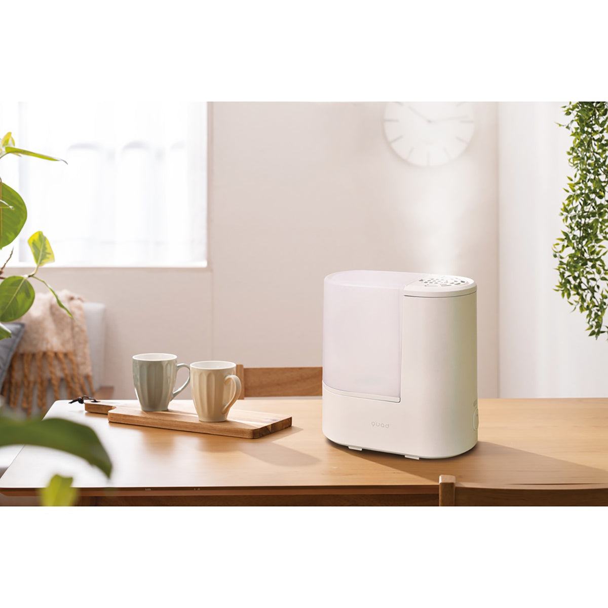 スチーム加湿器 ERU MOIST LITE（エルモイスト ライト）　アイボリー