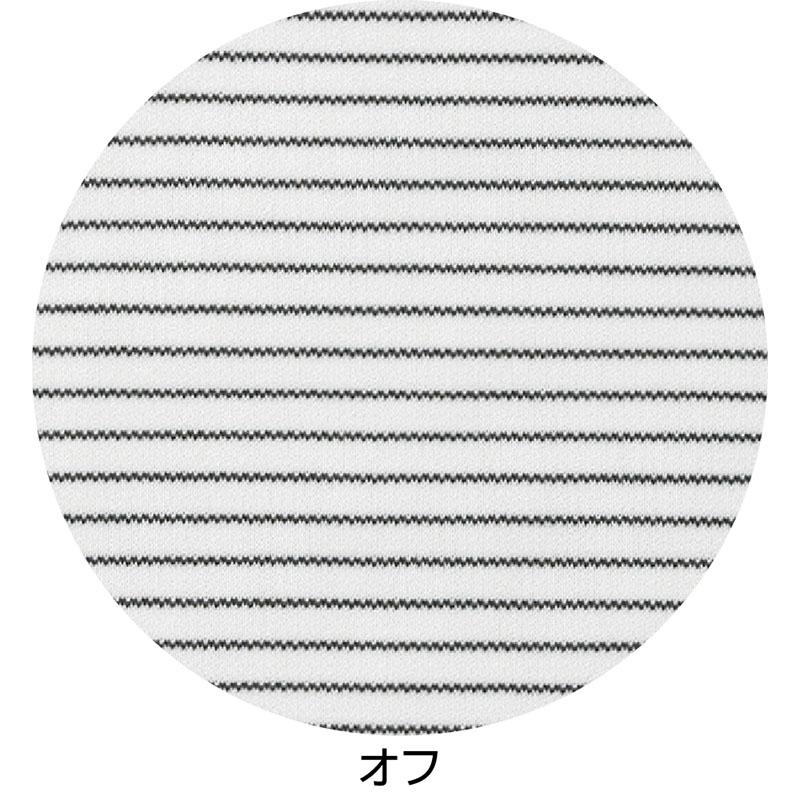 強撚ボーダー柄Ｔシャツ オフ ＬＬ