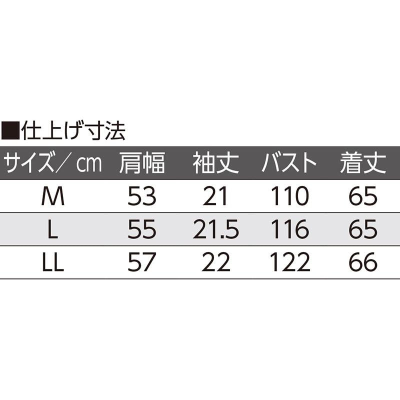 5分袖前後飛び刺繍Ｔブラウス ベージュ Ｍ