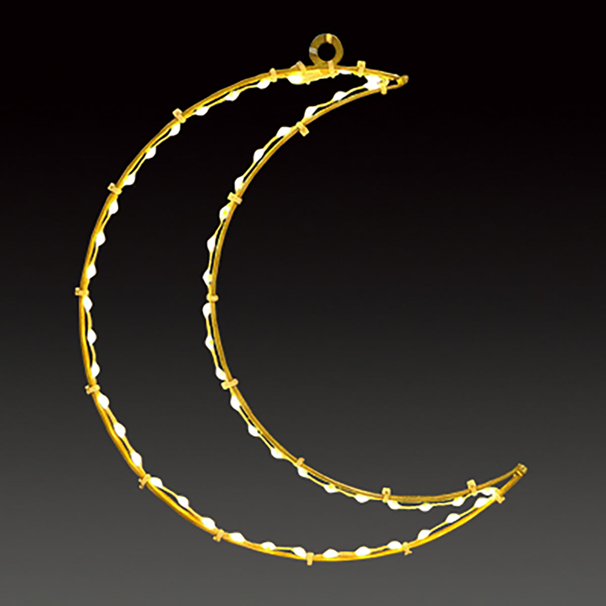 LEDファンタジックジュエリー イルミネーション 飾り ムーン