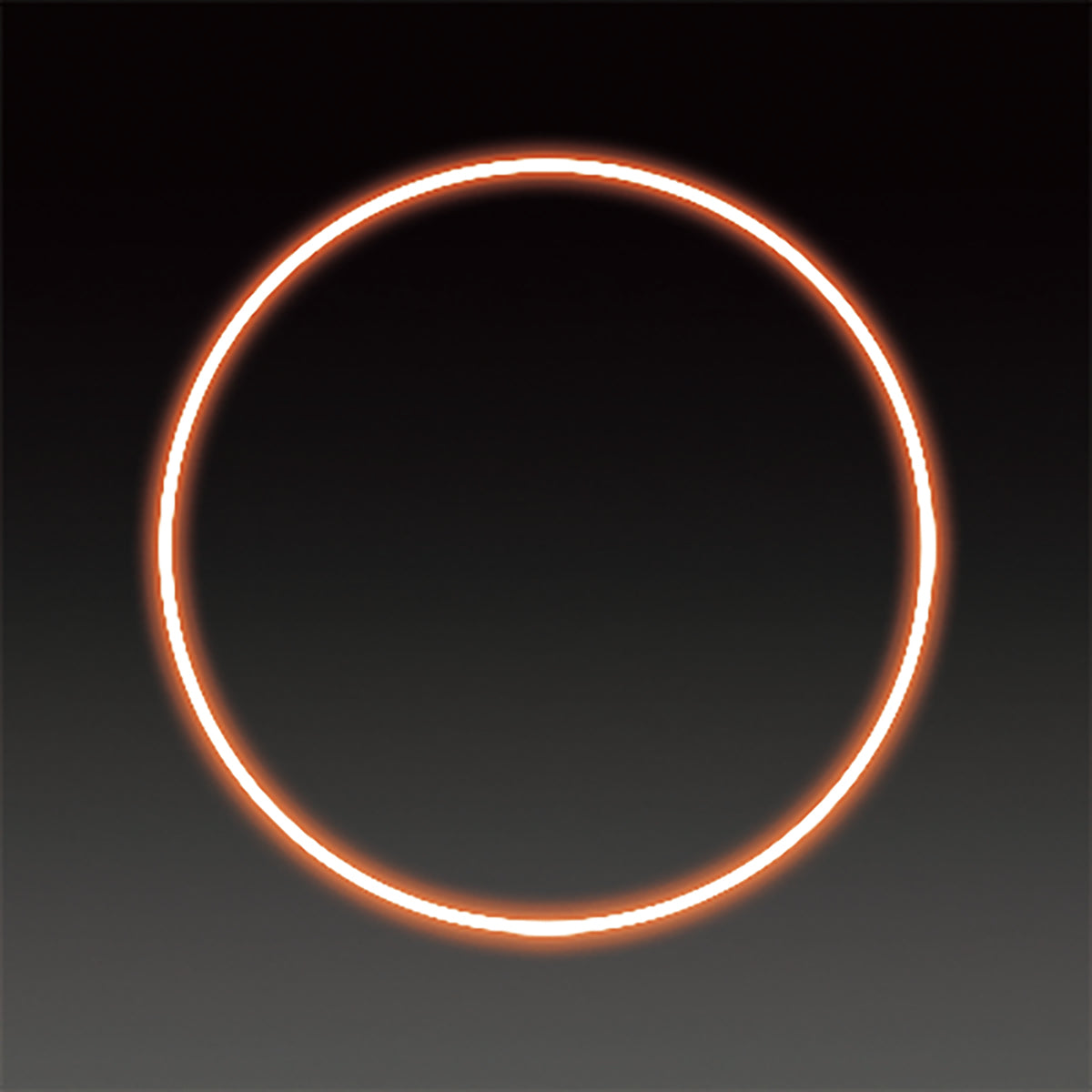 LEDフレキシ リング イルミネーション 飾り オレンジ(大)