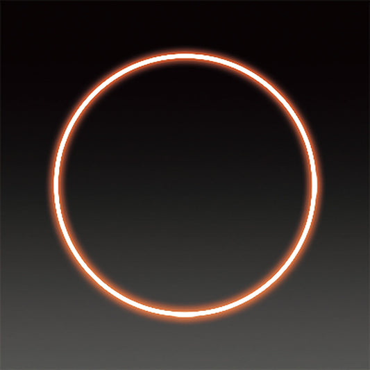LEDフレキシ リング イルミネーション 飾り オレンジ(大)