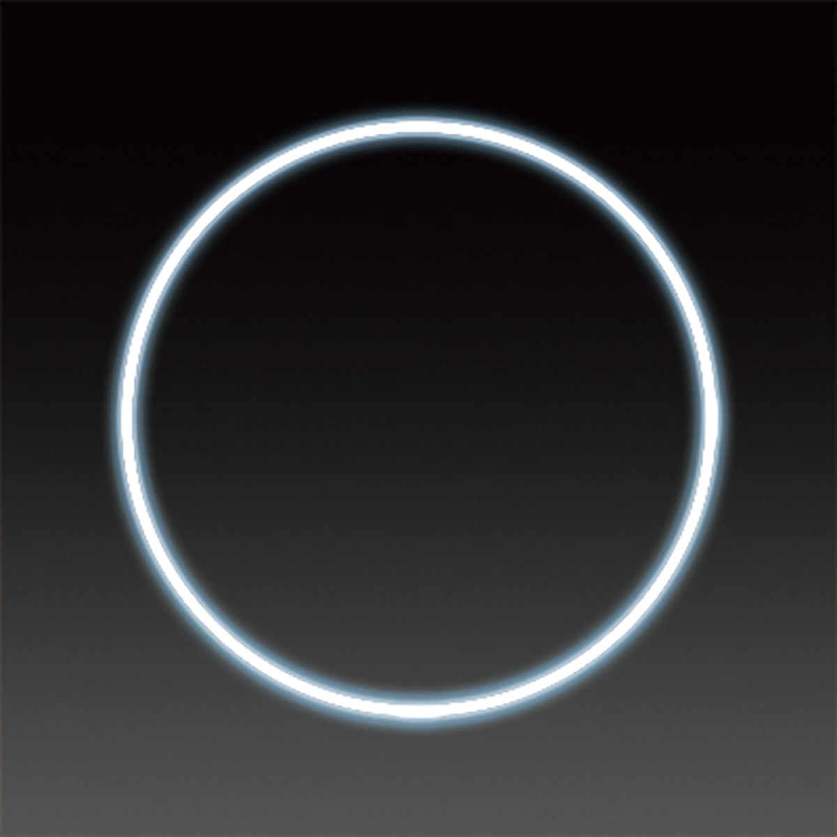 LEDフレキシ リング イルミネーション 飾り ホワイト(大)