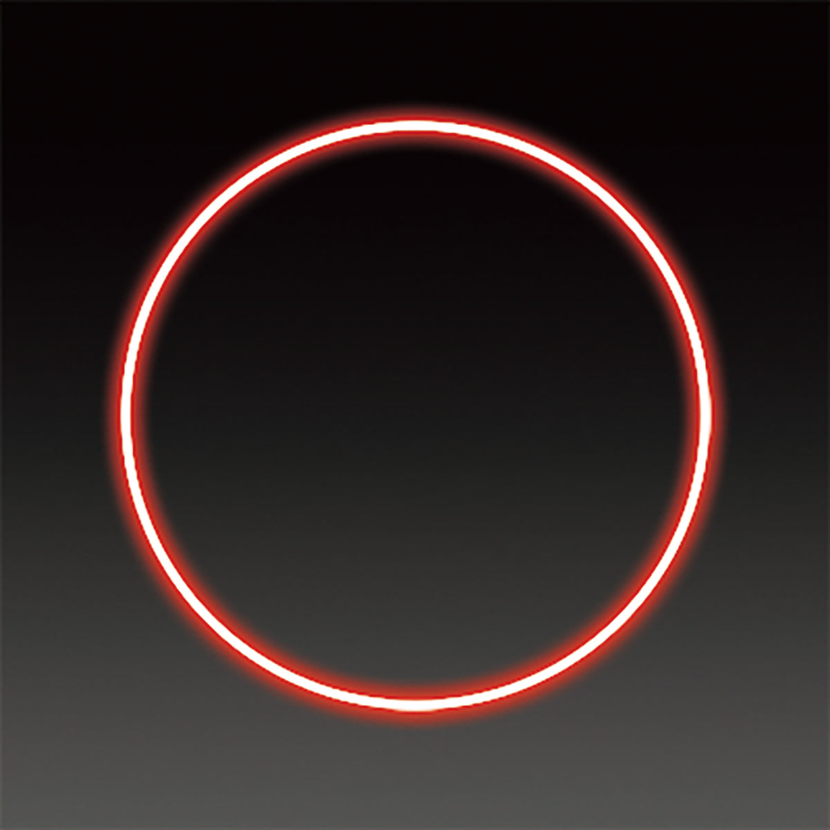 LEDフレキシ リング イルミネーション 飾り レッド(小)