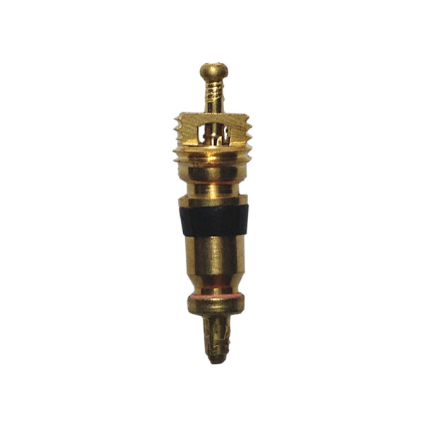 ノーブランドスナップインバルブ TR-413 100個