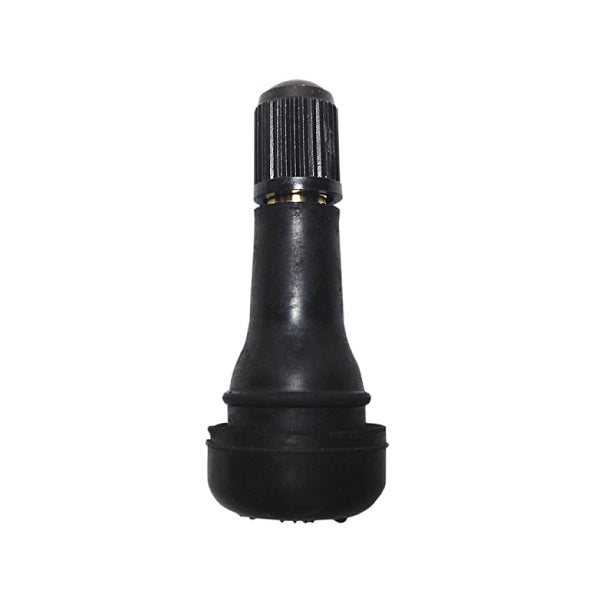 ノーブランドスナップインバルブ TR-413 100個