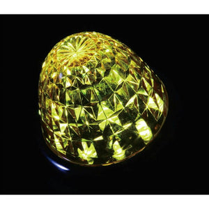 ジェットイノウエ クイーンスターライトバスマーカー 24V イエロー