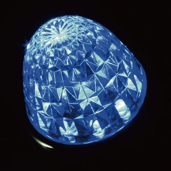 ジェットイノウエ クイーンスターライトカラーバスマーカー 24V ブルー