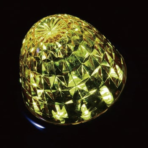 ジェットイノウエ クイーンスターライトカラーバスマーカー 24V イエロー