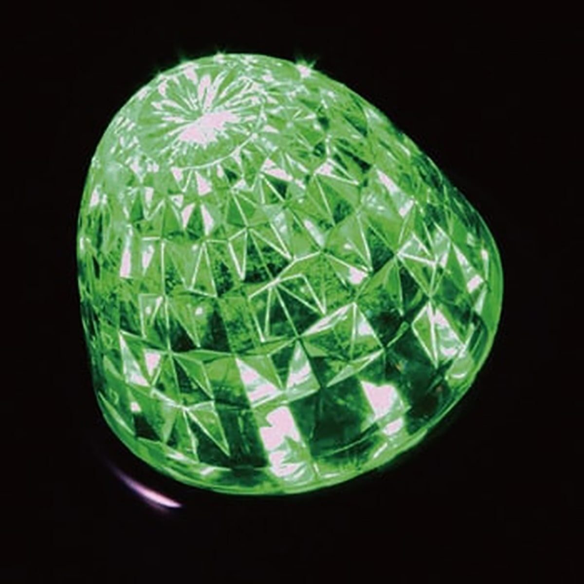 ジェットイノウエ クイーンスターライトカラーバスマーカー 24V グリーン