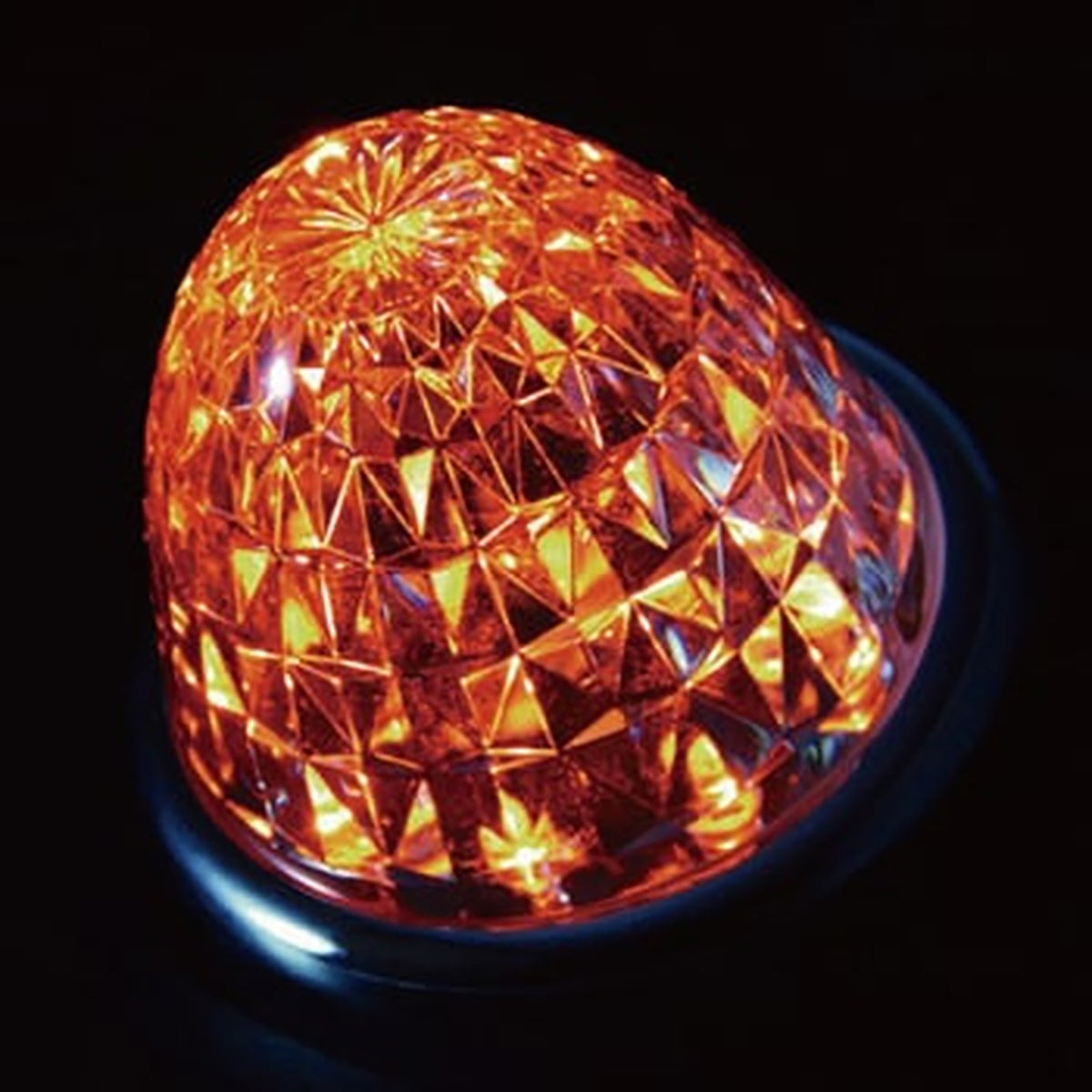 ジェットイノウエ クイーンスターライトカラーバスマーカー 24V 紅茶