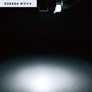 ジェットイノウエ ハイパワーLEDダウンライトNEO 12／24V ホワイト