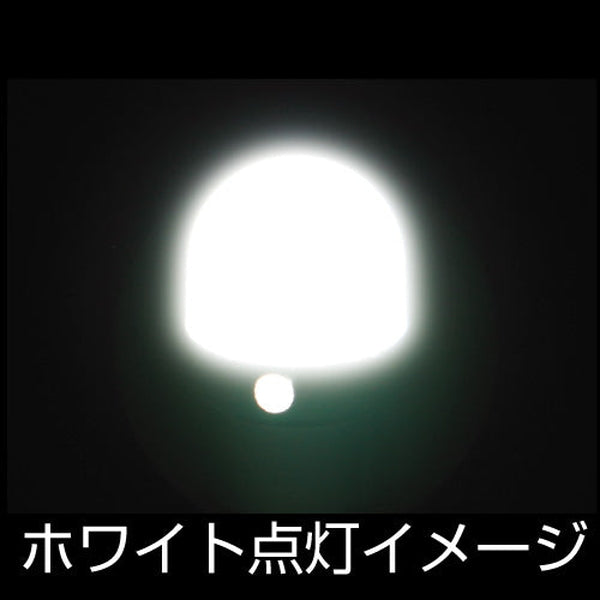 ジェットイノウエ LC-05 BA9Sタイプ 3Dバルブ ホワイト 528724