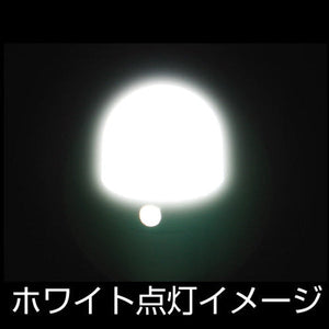 ジェットイノウエ LC-05 BA9Sタイプ 3Dバルブ ホワイト 528724