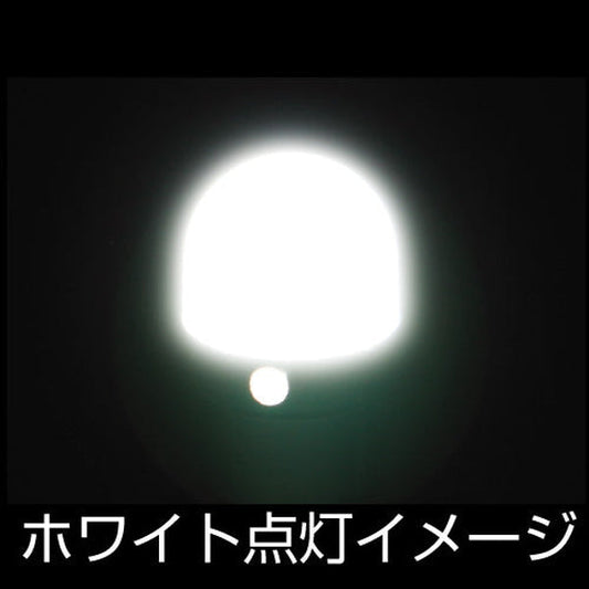 ジェットイノウエ LC-05 BA9Sタイプ 3Dバルブ ホワイト 528724