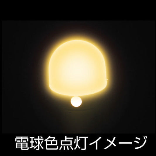 ジェットイノウエ LC-05 BA9Sタイプ 3Dバルブ 電球色 528730