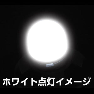 ジェットイノウエ LA-015 ハイパワーLED T10 ウェッジバルブNEO ホワイト 529034