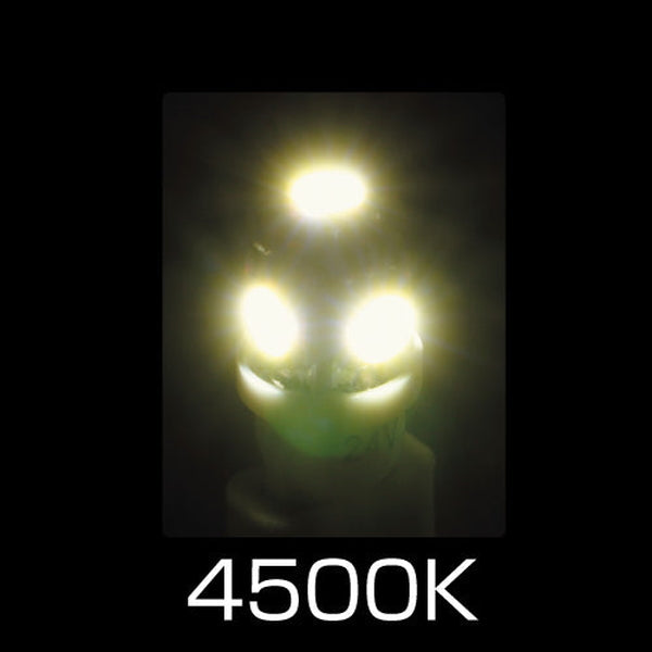 ジェットイノウエ LED T10ウェッジバルブ ホワイト LA-004 529161