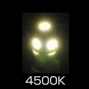 ジェットイノウエ LED T10ウェッジバルブ ホワイト LA-004 529161