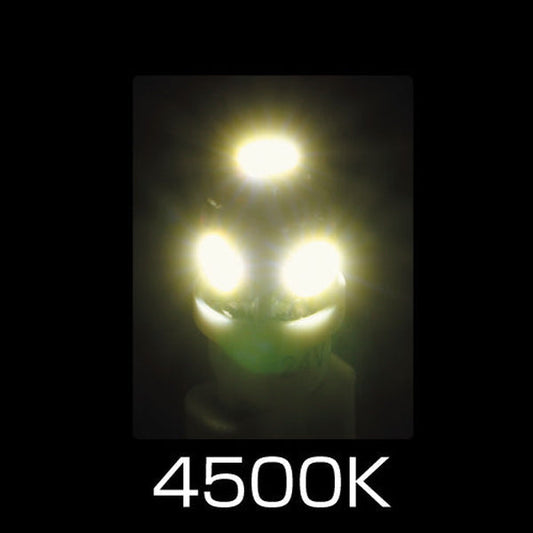 ジェットイノウエ LED T10ウェッジバルブ ホワイト LA-004 529161