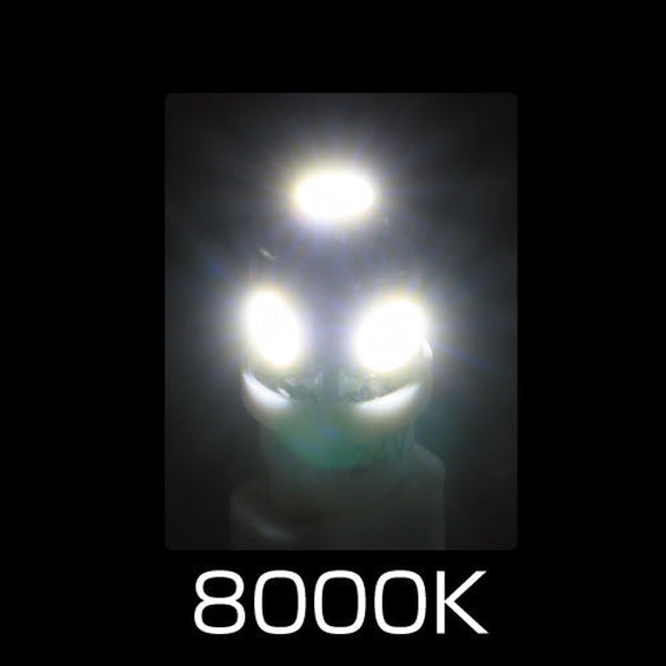 ジェットイノウエ LED T10ウェッジバルブ ホワイト LA-006 529163