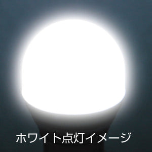 ジェットイノウエ LC-04 LEDハイパワー3Dバルブ ホワイト 529584