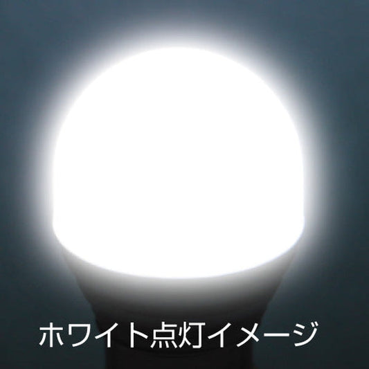 ジェットイノウエ LC-04 LEDハイパワー3Dバルブ ホワイト 529584