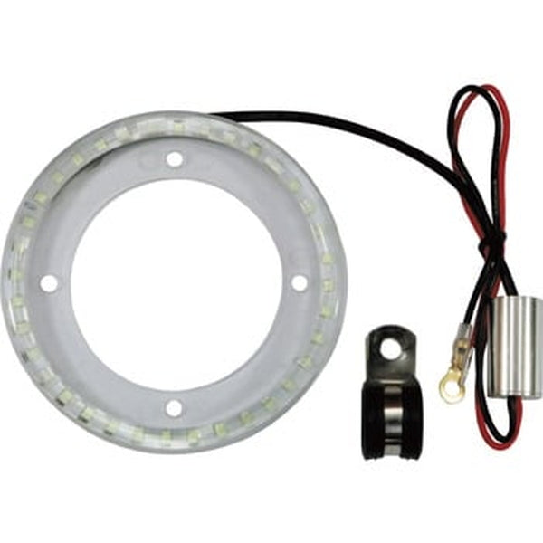 ジェットイノウエ LEDバスマーカー用エンジェルリング グリーン 534853