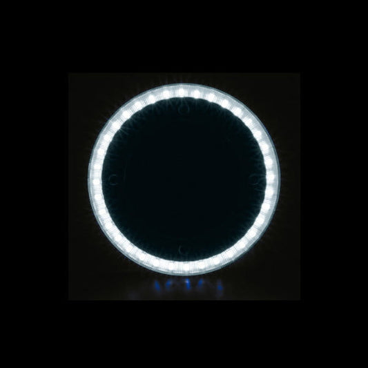 ジェットイノウエ LEDバスマーカー用エンジェルリング ホワイト 534854