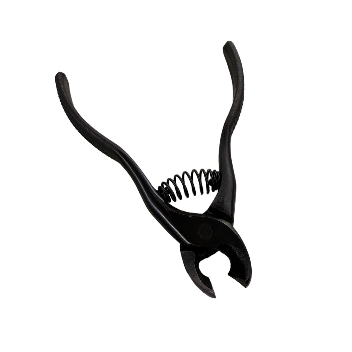 剣謙心　黒染ニッパー型爪切　桐箱入