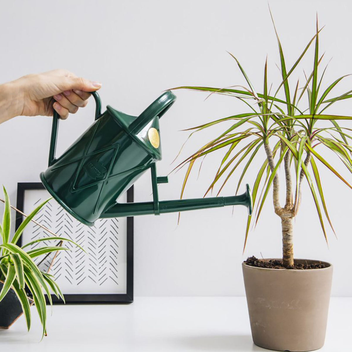 Heritage Indoor ジョウロ ガーデニング 1L グリーン