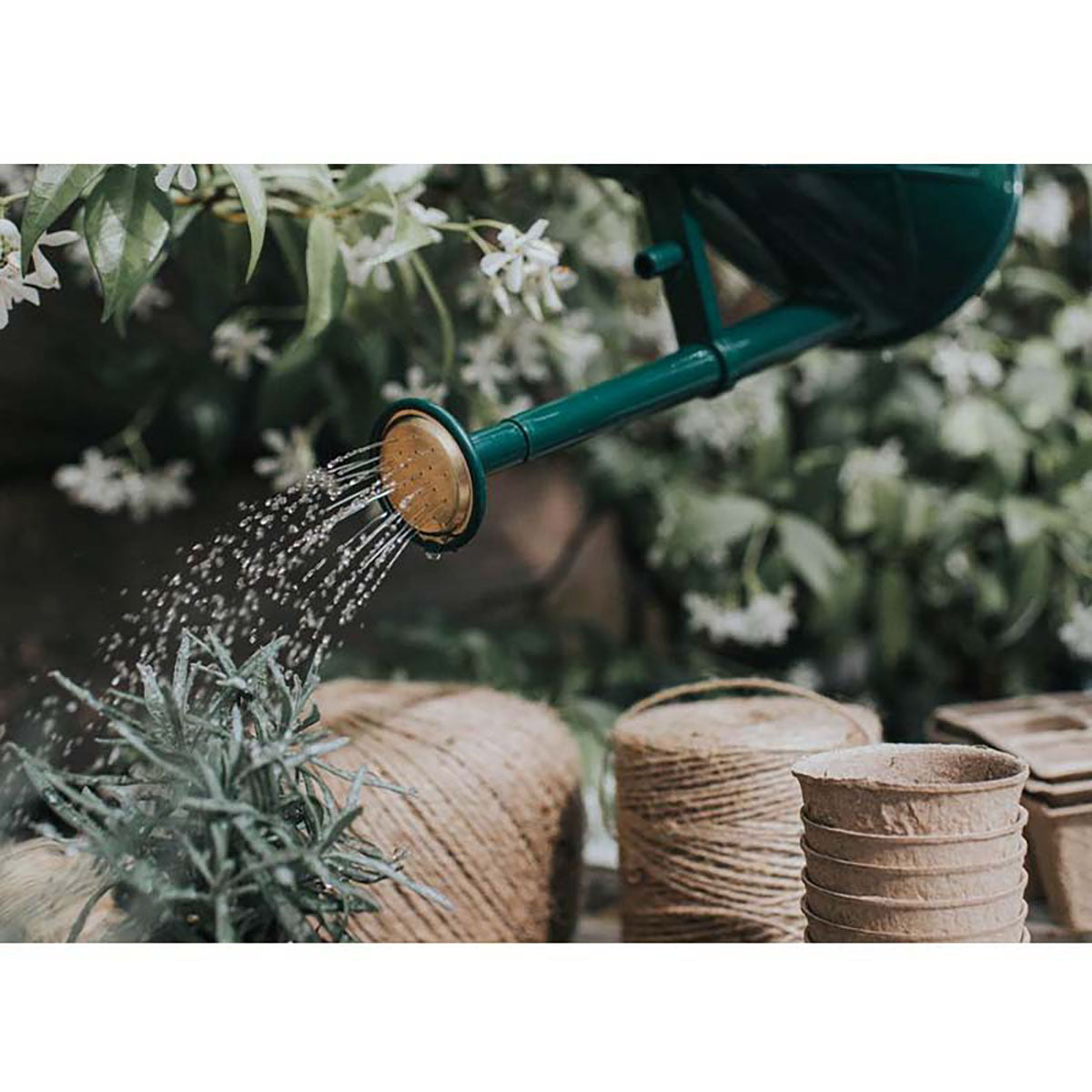 Heritage Indoor ジョウロ ガーデニング 1L グリーン