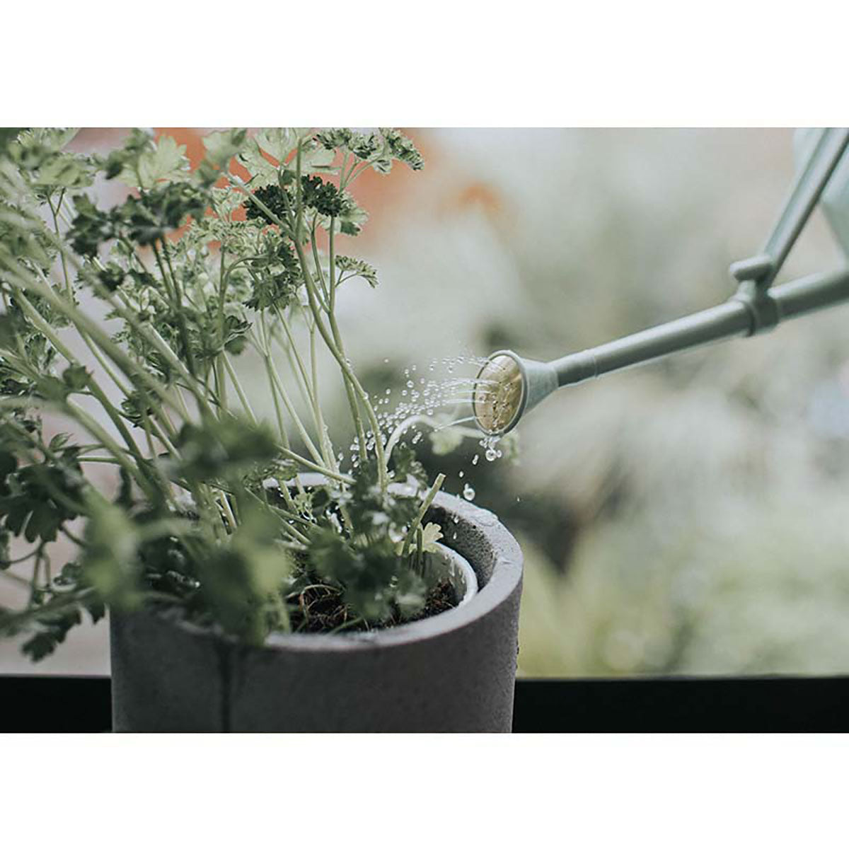 Handy Indoor ジョウロ ガーデニング 0.7L サルビアグリーン