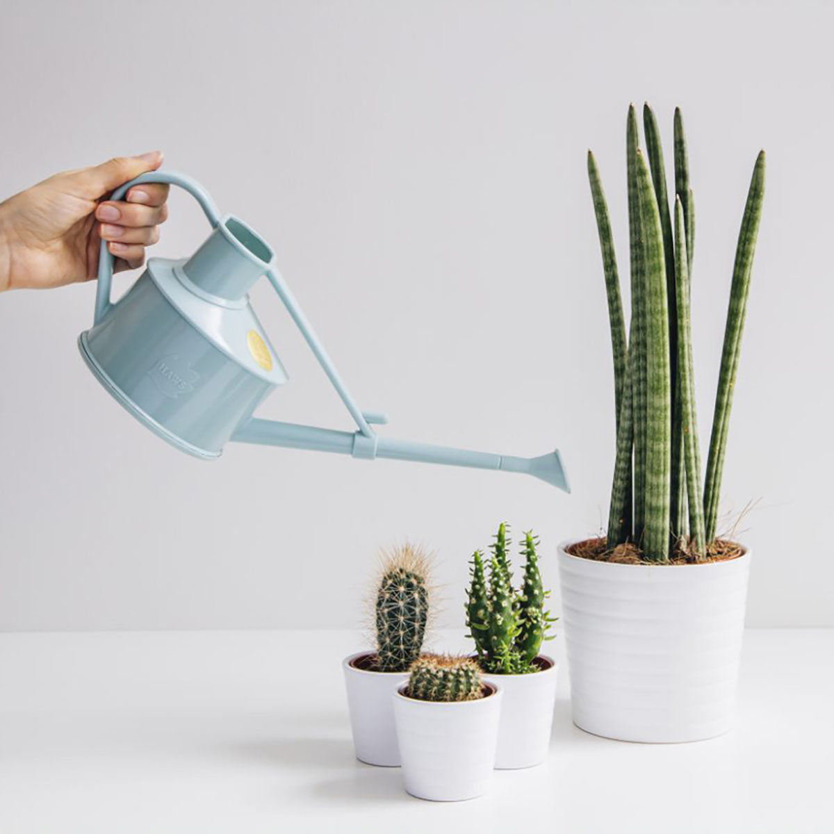 Handy Indoor ジョウロ ガーデニング 0.7L ダックエッグブルー