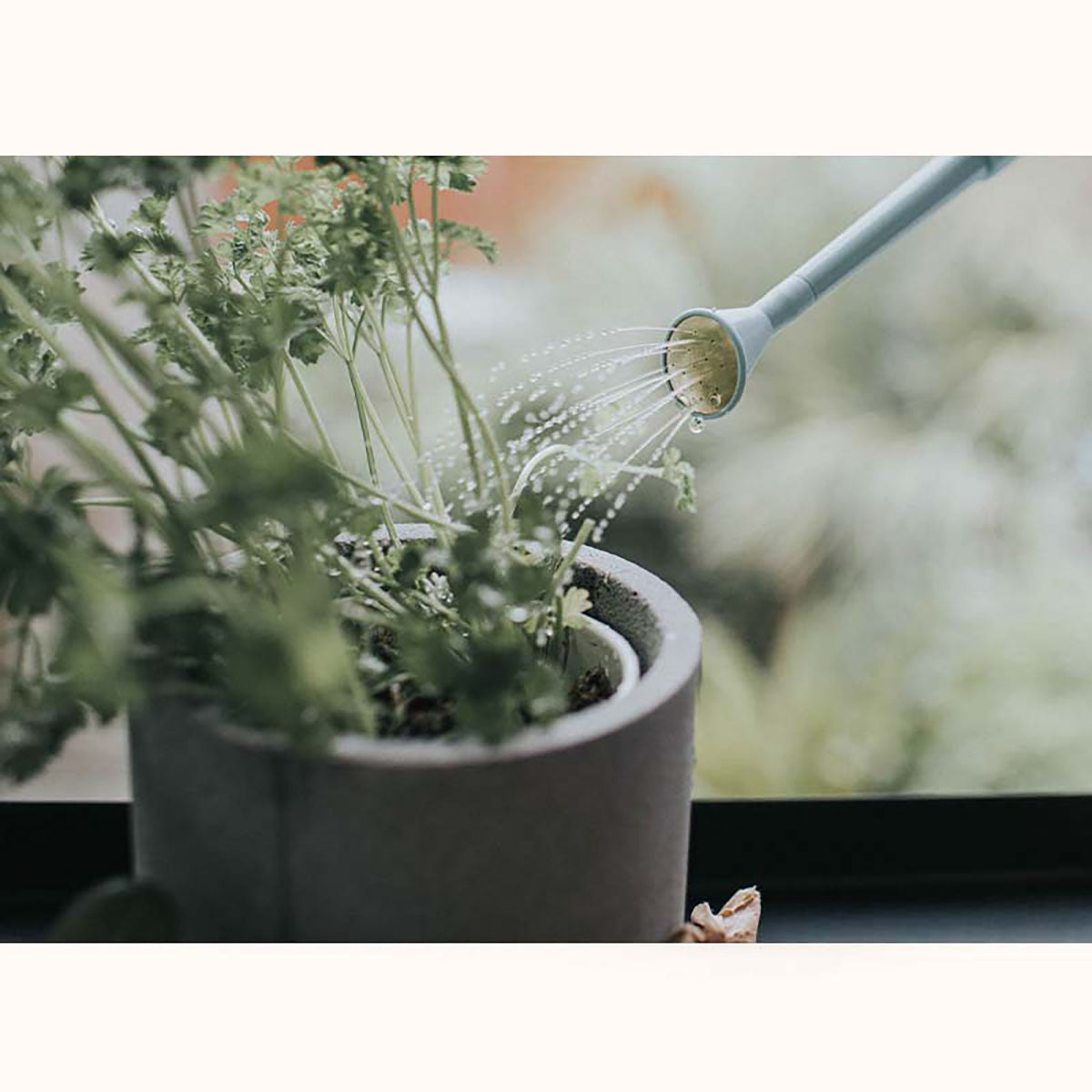 Handy Indoor ジョウロ ガーデニング 0.7L ダックエッグブルー