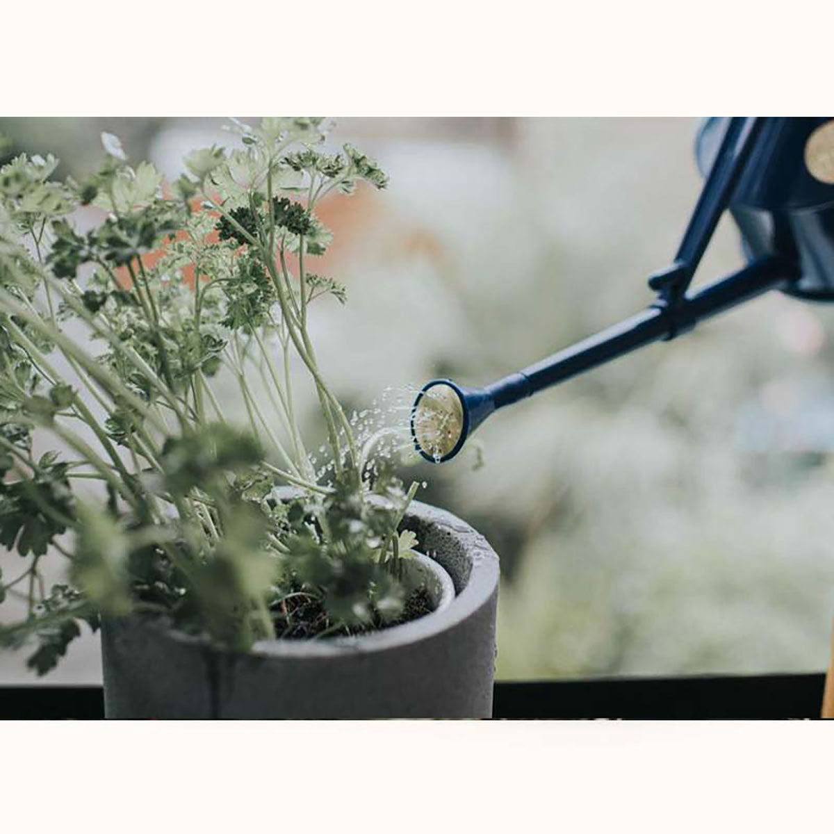 Handy Indoor ジョウロ ガーデニング 0.7L ブルー