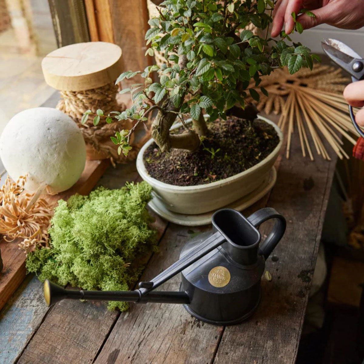 Handy Indoor ジョウロ ガーデニング 0.7L ブラック